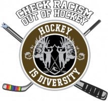 Para Icehockey is Diversity